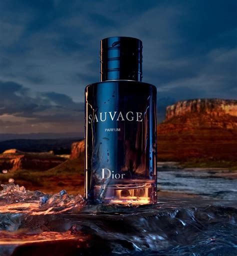 dior sauvage eau de parfum alternative|how expensive is Dior Sauvage.